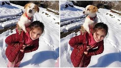 8歲女孩，將自己跟狗狗綁在一起，走3公里雪路治病，暖哭了