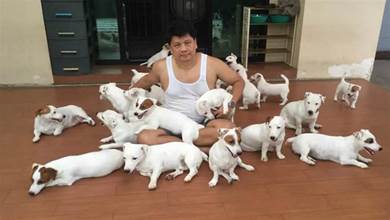 男子一口氣養了20只狗，從小跟他一起睡，滿滿一床惹人羡慕