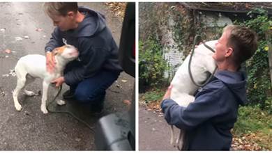 流浪狗見到救援人員，搖尾巴「自投羅網」求抱抱，滿臉幸福：我要有家了？