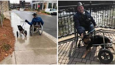 「輪椅汪」被4次送回收容所，沒有願意要牠，卻在最後終於遇到了他