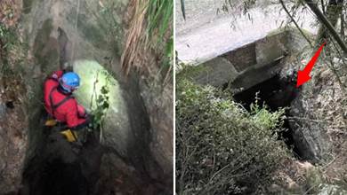 小狗被困「溶洞」6年，救援人員下到「深不見底」洞里救助，看到眼前場景直言：委屈你了