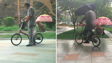 大爺騎車帶著狗狗，還貼心的給它也準備了小傘遮雨，幸福的模樣！