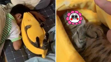 兒子床頭多了一根「長腳大香蕉」，媽媽掀開后被萌翻：香蕉成精啦~