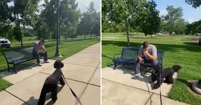 狗狗遛彎路過長椅，狗子突然激動：這不是我最好的朋友嗎？