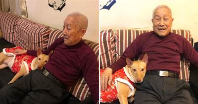 90歲老人記憶不斷減退，卻不曾忘記孫女的愛犬：肚子餓不餓？