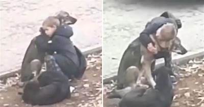 上學途中偶遇流浪狗，小男孩忽然上前給了一個「愛的抱抱」 ：是不是很冷呀~