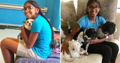 令人敬佩！9歲女孩創立公司賺錢，捐款10萬給愛心組織幫助流浪狗：想給牠們一個家❤