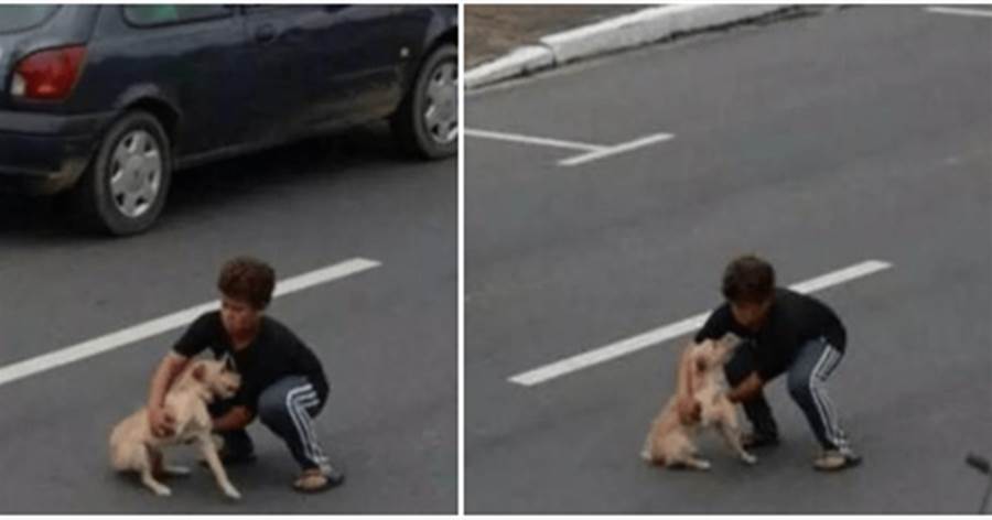 流浪狗突然沖到高速公路上，小男孩看到后猛沖上去，成功的將牠救下！