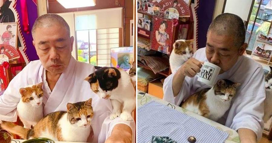 寺廟的老爺爺收養4只小貓，小貓們跟著爺爺，過上敲鐘念佛的生活