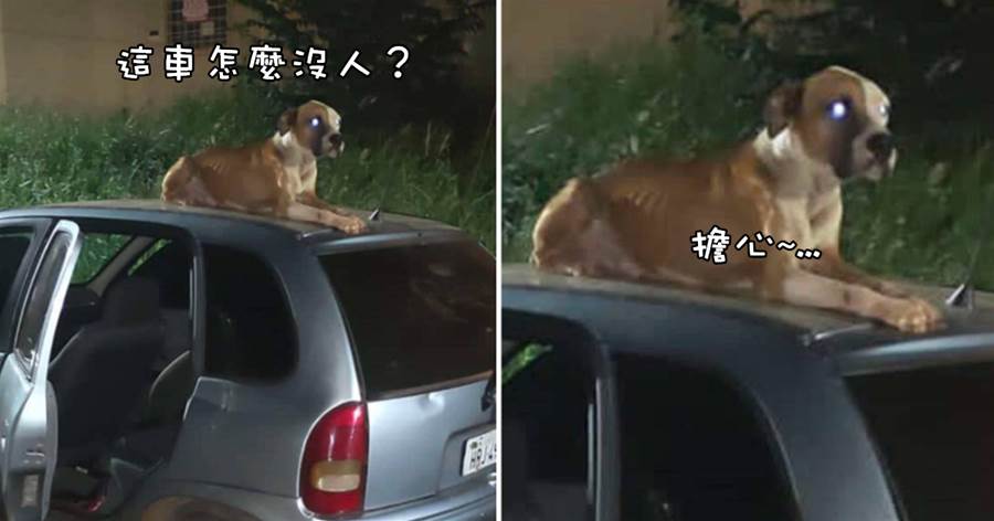 車被偷后男子報警找回，警察說他的「狗還在車上」！男子懵了：可我沒養狗啊！