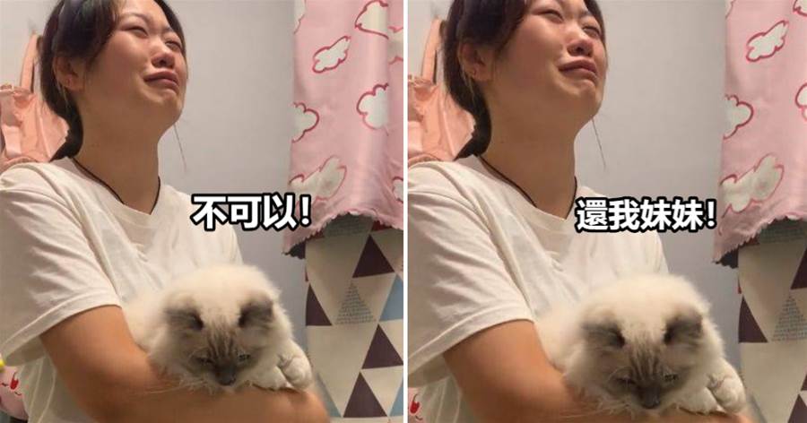 女子養了4個月的貓咪，突然發現是「公貓」崩潰大哭：公主變王子一時難以接受