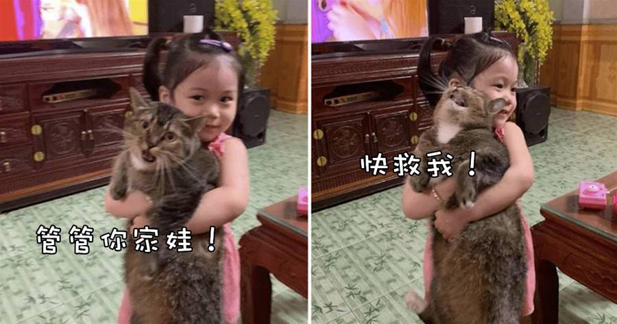 小女孩抱住貓咪不撒手，貓一邊叫一邊向主人求救：快管管你家娃