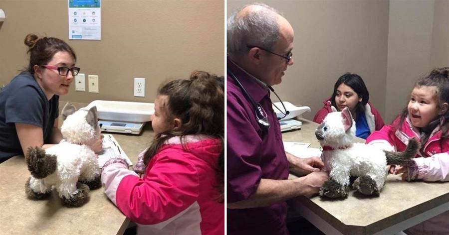 小女孩的「玩具貓」受傷，暖心醫生為其緊急救治：治愈的是人心！